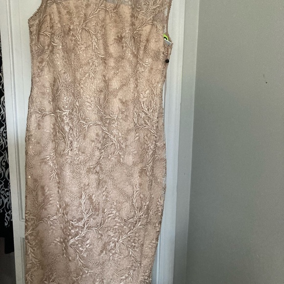Beautiful champagne Adrianna Pappell. Never worn - Picture 2 of 2